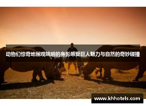 动物们惊奇地围观姚明的身影感受巨人魅力与自然的奇妙碰撞